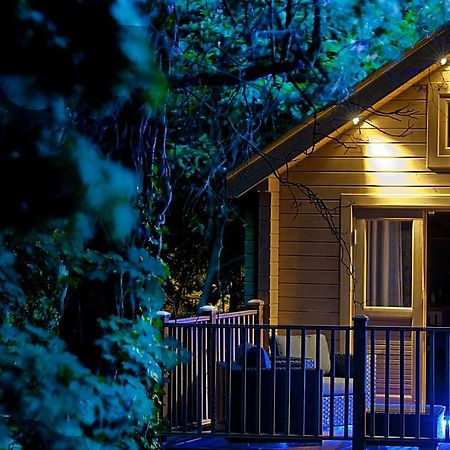 Alum Chine Log Cabin Villa Bournemouth Esterno foto