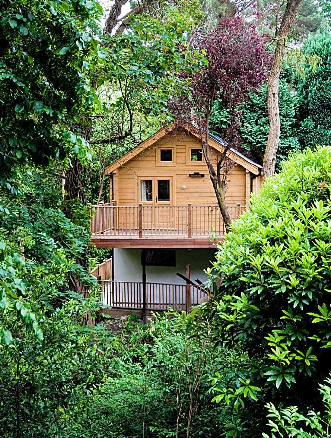Alum Chine Log Cabin Villa Bournemouth Esterno foto